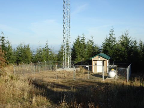    The KROH transmitter site, fenced, gated and barbed-wired. Now all we need are some new antennae!                            